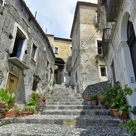 Ferienwohnung Riviera Dei Cedri Dimora Colibri A 100 M Dal Mare Scalea Exterior foto