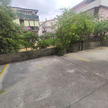 Ferienwohnung Riviera Dei Cedri Dimora Colibri A 100 M Dal Mare Scalea Exterior foto