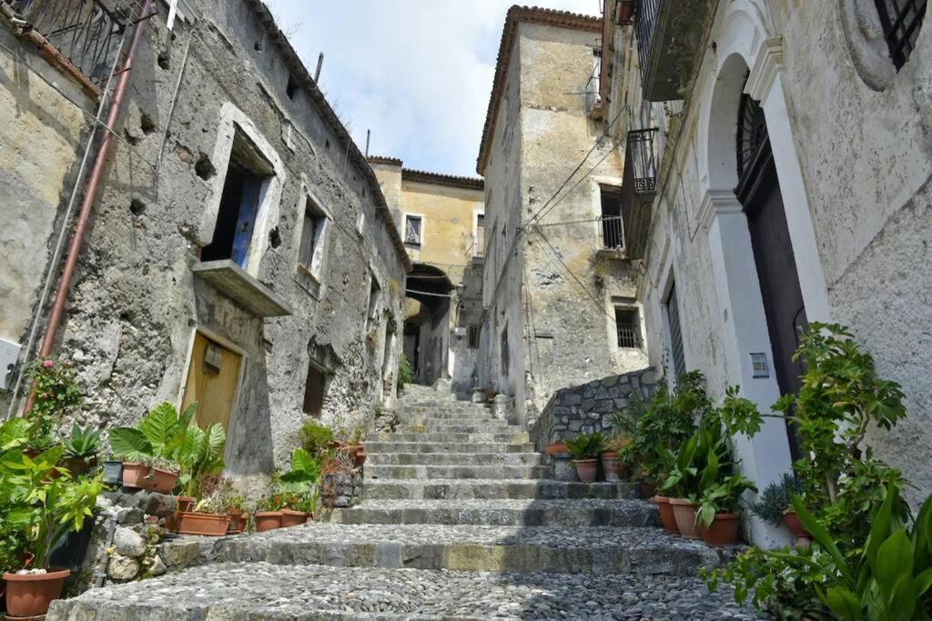 Ferienwohnung Riviera Dei Cedri Dimora Colibri A 100 M Dal Mare Scalea Exterior foto