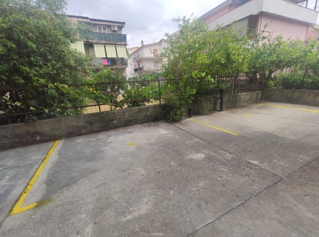 Ferienwohnung Riviera Dei Cedri Dimora Colibri A 100 M Dal Mare Scalea Exterior foto