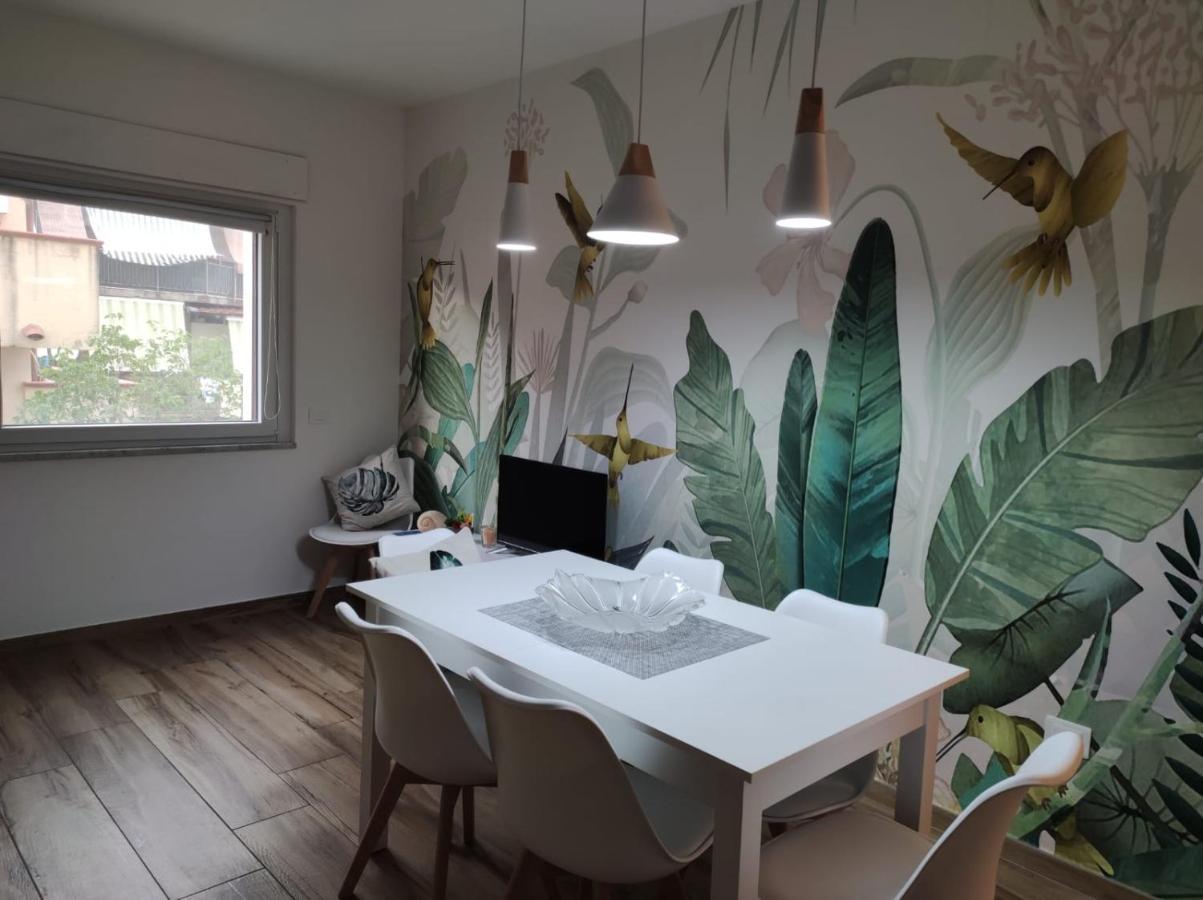 Ferienwohnung Riviera Dei Cedri Dimora Colibri A 100 M Dal Mare Scalea Exterior foto